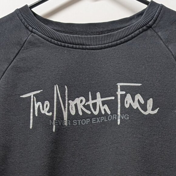 The North Face Graphic Injection Crew Sweatshirt in Black & Metallic Silver - Picture 9 of 14